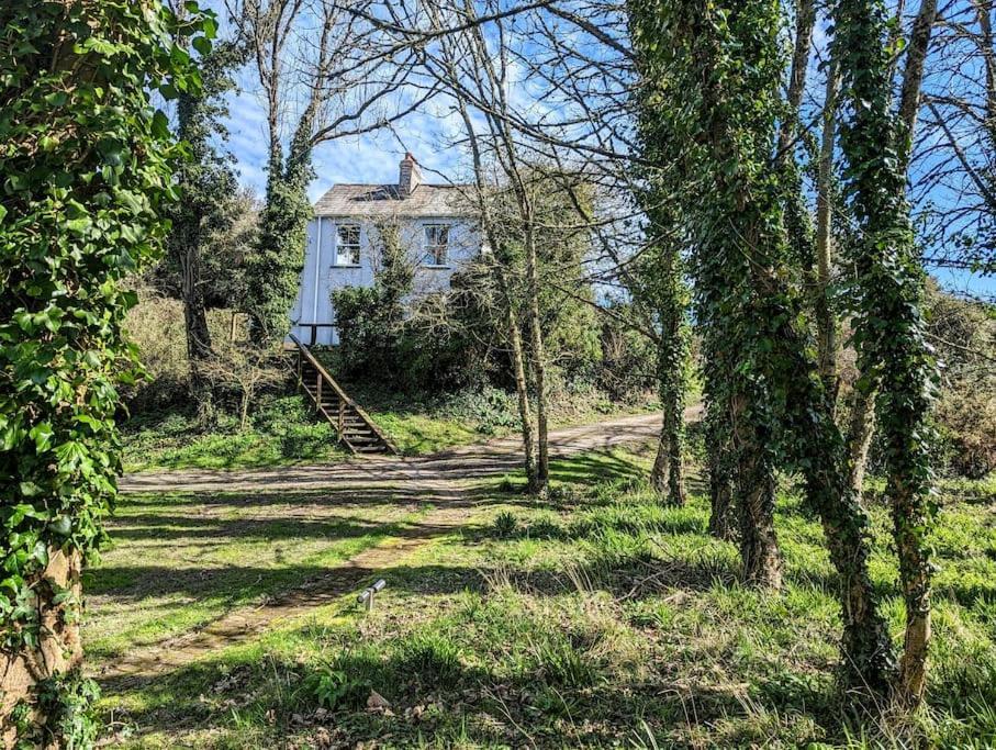 Romantic Secluded Hideaway Cottage In Cornwall Truro Exteriér fotografie